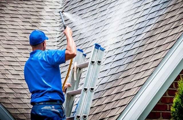 arlington heights roof cleaning